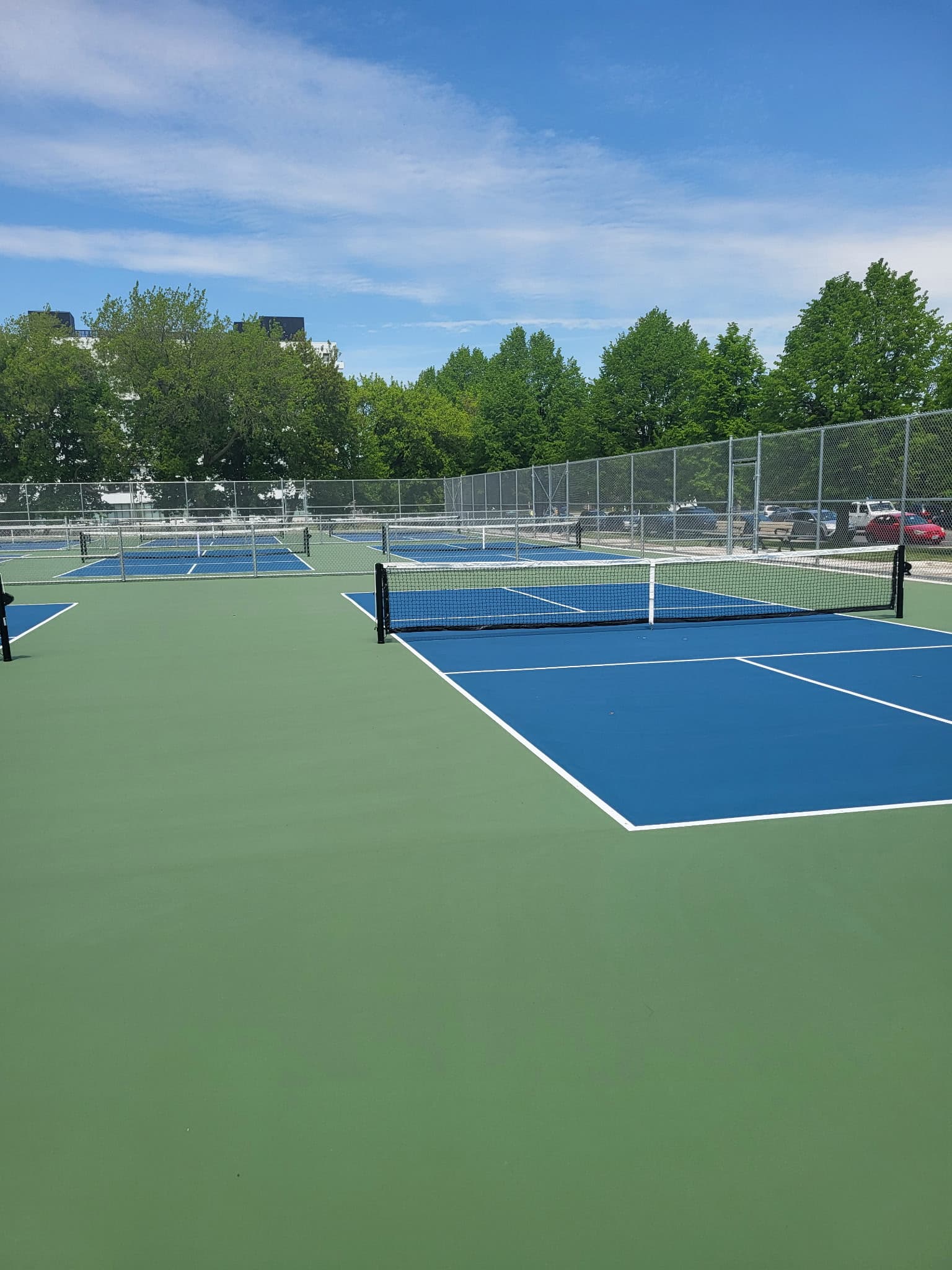 Multiple outdoor pickleball courts with blue surfaces and green borders under a bright sky.